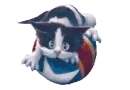 rolling kitty