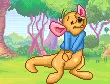 shy Roo