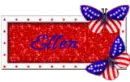 Ellen 4th of July