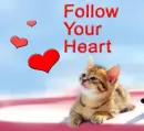 follow your heart
