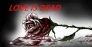 bleeding love