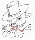 classy fox