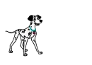 DOG DALMATIAN