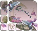 Sondra