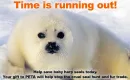 Save the Seals