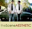 the scene aesthetic