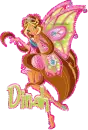 winx dinah