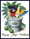 corona weekend parrot