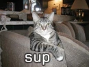 sup
