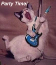 lol kitty