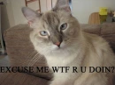 lolzz