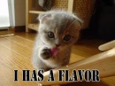 i has flavor