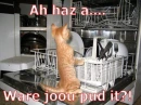 where u put it