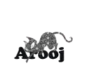 Arooj