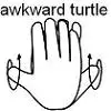 Awkward Turtle