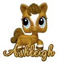 littlest petshop ashleigh