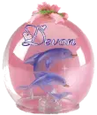 Devon - Dolphin Globe
