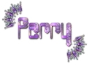 Diamond Pierced Text - Perry