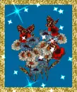 butterflies and flowers