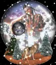 wolves and indians