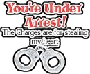Youre Under Arrest