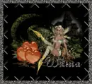 Wilma