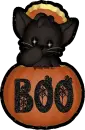 kitty