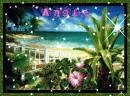 tropical beach