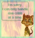 crazy cat stressing