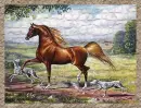 picture of a horse