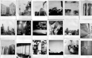 polariod