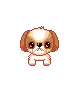 CUTE PUPPY
