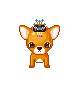 CUTE PUPPY