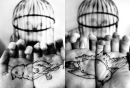 birds