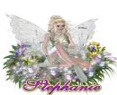 Stephanie Fairy