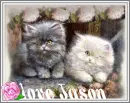 love Jason