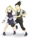 shikaino