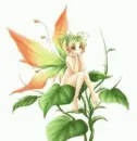 gree fairy