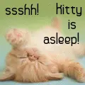 Sshh! Kitty is asleep!