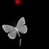 butterfly avatar