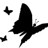 butterfly avatar