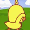 Exploring Ducky