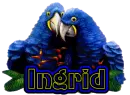 INGRID TROPICAL BIRDS