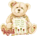 INGRID BEAR FRIENDS FOREVER