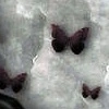 butterfly avatar