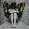 butterfly avatar