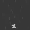  	butterfly avatar