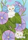 cat fairy