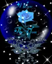 a blue rose