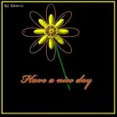 Have a nice day
